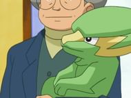 Electrike (Image via The Pokemon Company)